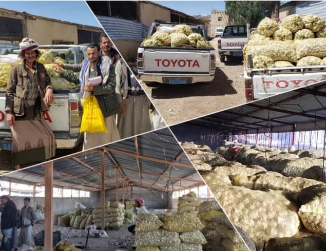 58  طن محصول الثوم المحلي انتاج جمعية القطاع الجنوبي بمحافظة صنعاء المرحلة الاولى من الموسم الحالي 1445
