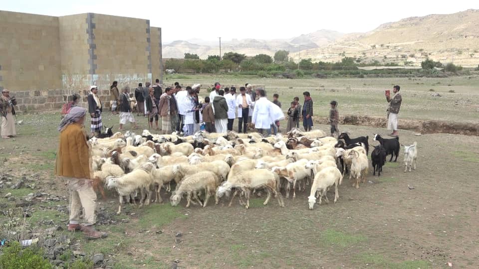 تدشين  البيطري المجاني يواصل نشاطه بمديريه بلاد الروس بالتنسيق مع جمعية القطاع وجمعية العزل التنمويه