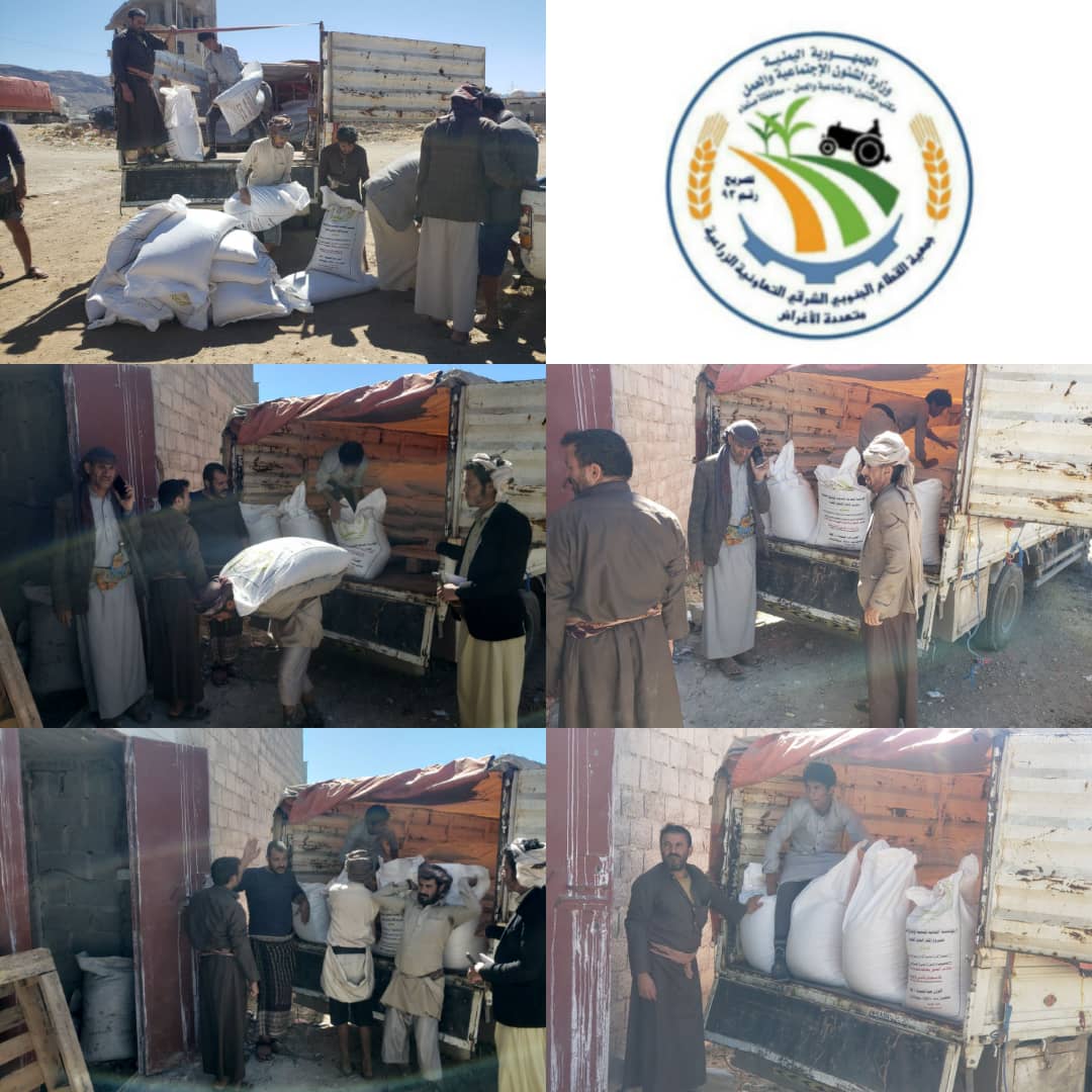 مشروع التوسع في زراعة محاصيل الحبوب والبقوليات بجمعية القطاع الجنوبي بمحافظة صنعاء